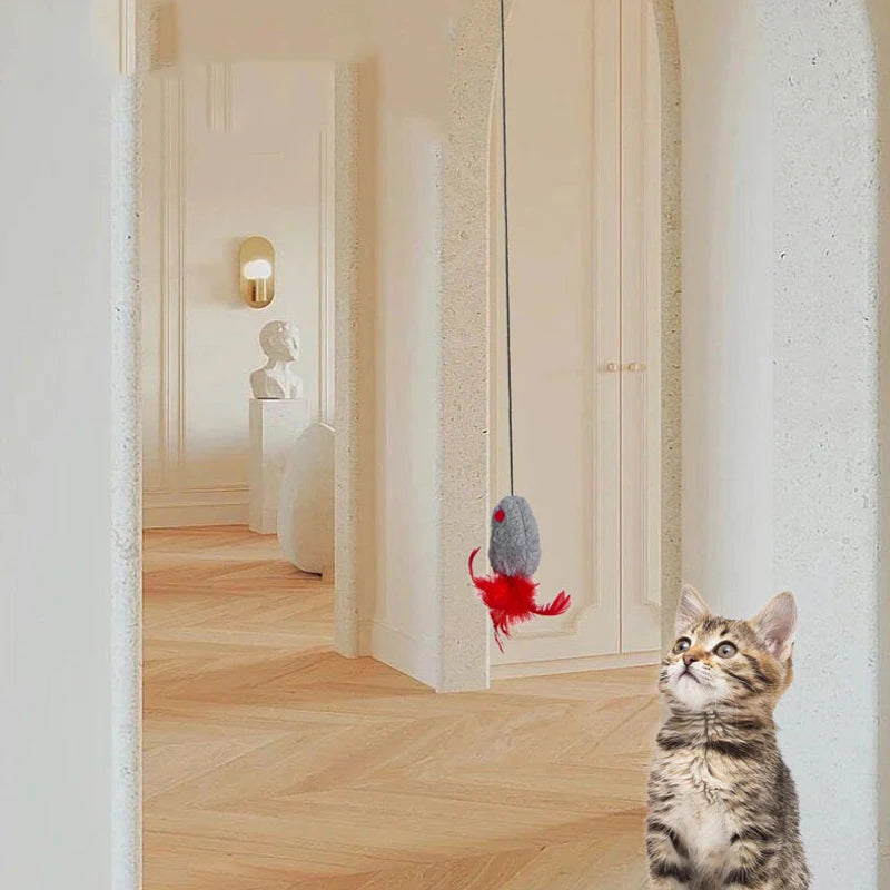 Juguete de Gato Raton con Elastico