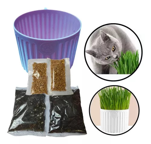 Kit de Preparar Pasto