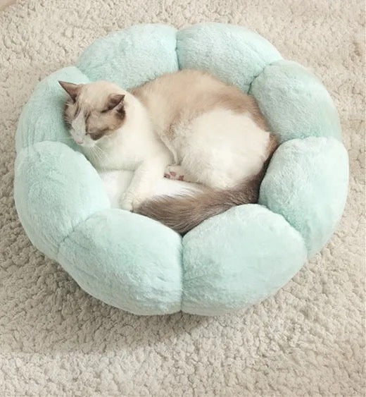 Decorativa Cama para Mascotas con Forma de Flor
