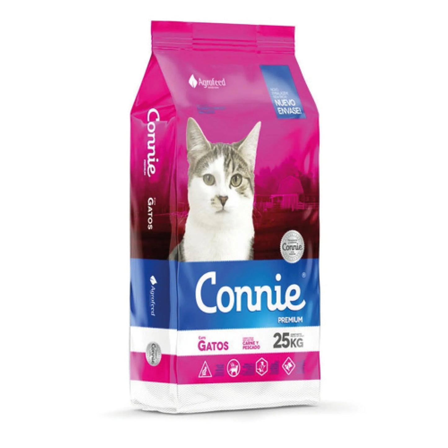 Connie Gato Adulto + Regalo
