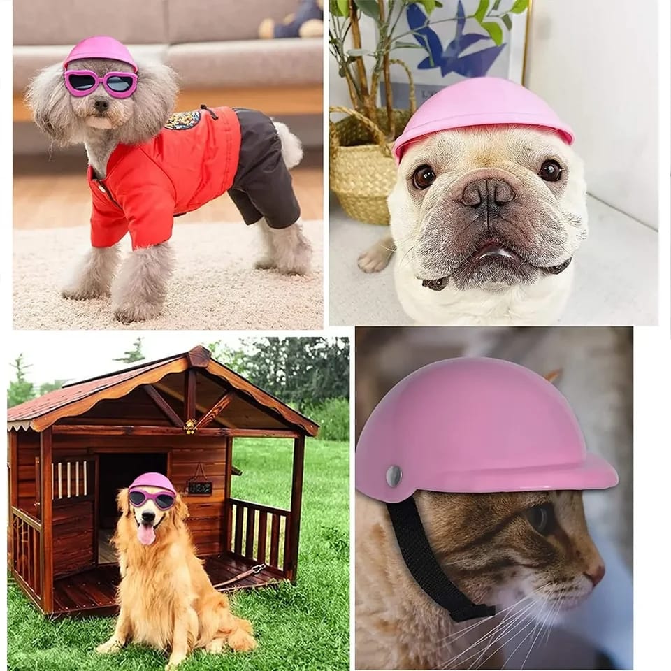 Gorro Casco Divertido para Mascotas ¡Protección y Estilo para tu Peludito!