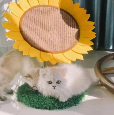 Rascador para Gato con forma de Girasol - Compacto, Duradero y Fácil de Armar