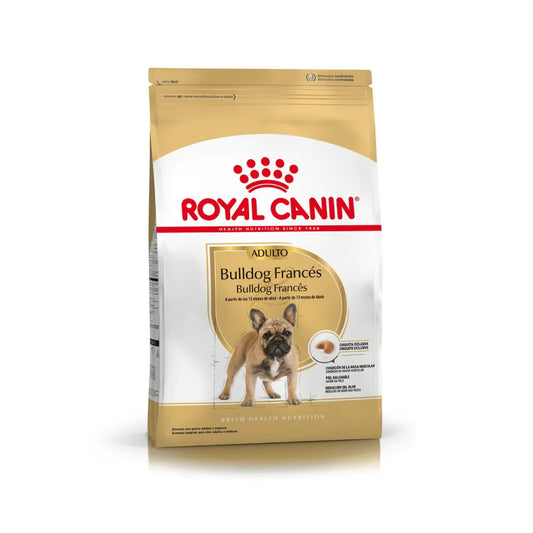 Royal Canin Bulldog Frances Adulto